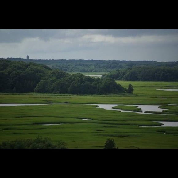 Meet your Posher, Paula - Picture 1 of 1